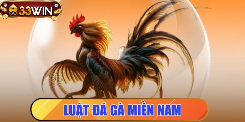Ảnh đại diện - Luật đá gà miền nam