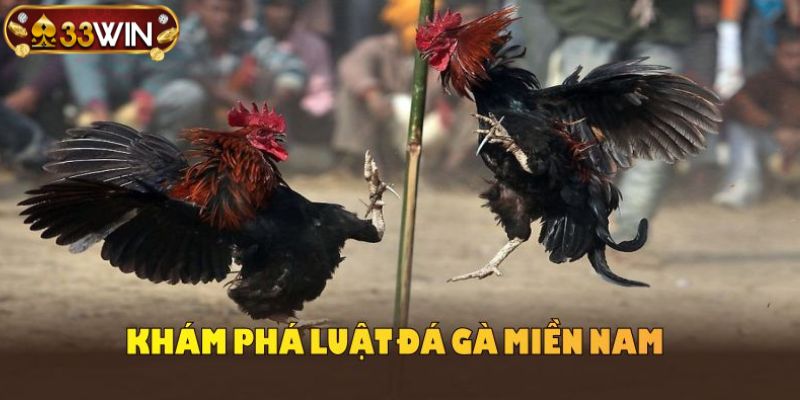 Chức năng luật đá gà miền nam trong khi tham gia điểm đến cá cược